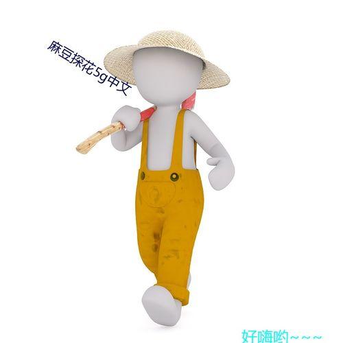 麻豆探花,揭秘网红背后的故事与成长之路
